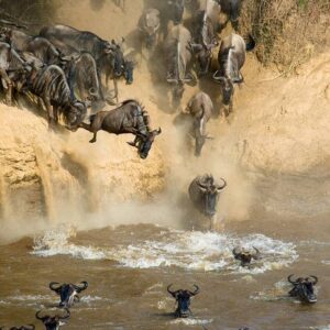3 Days Masai Mara Easter Deals