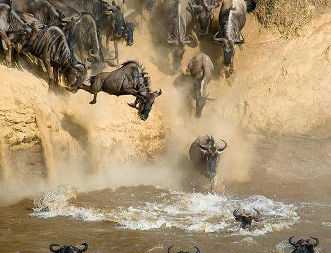 3 Days Masai Mara Easter Deals